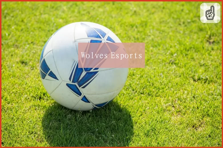 Wolves Esports